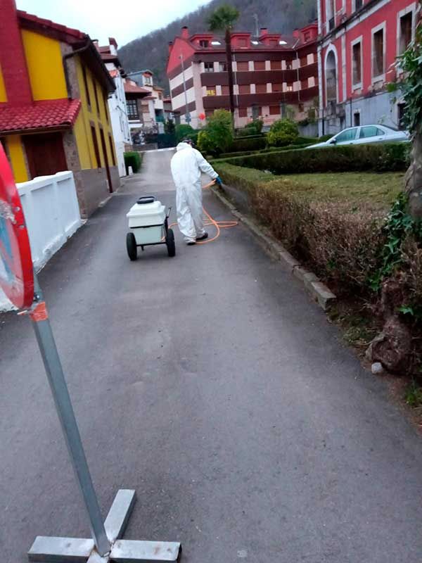 Operario con EPI fumigando arbustos de boj