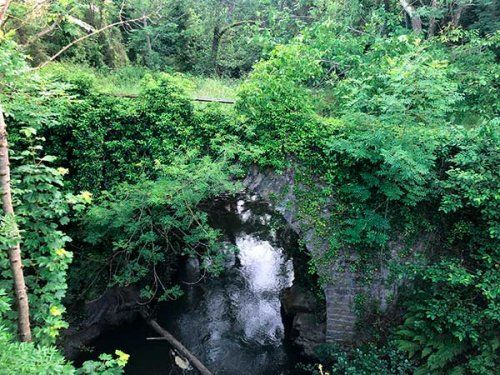 impacto de la restauración paisajística