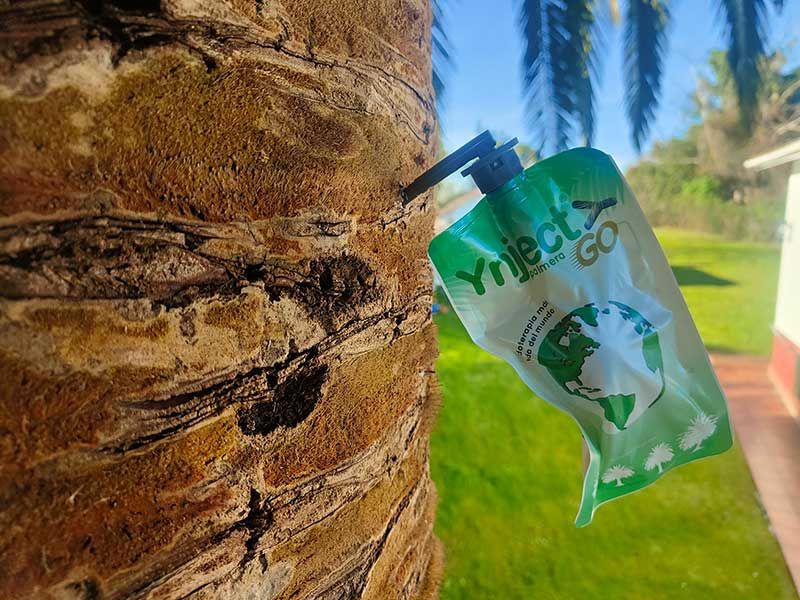 Detalle sobre el tronco de la palmera con tratamiento fitosanitario