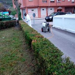 Operario con EPI tratando plaga en arbustos