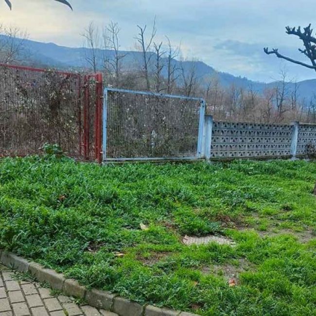 Paisajismo: diseño y mantenimiento de parques y jardines Paisajismo: diseño y mantenimiento de parques y jardines