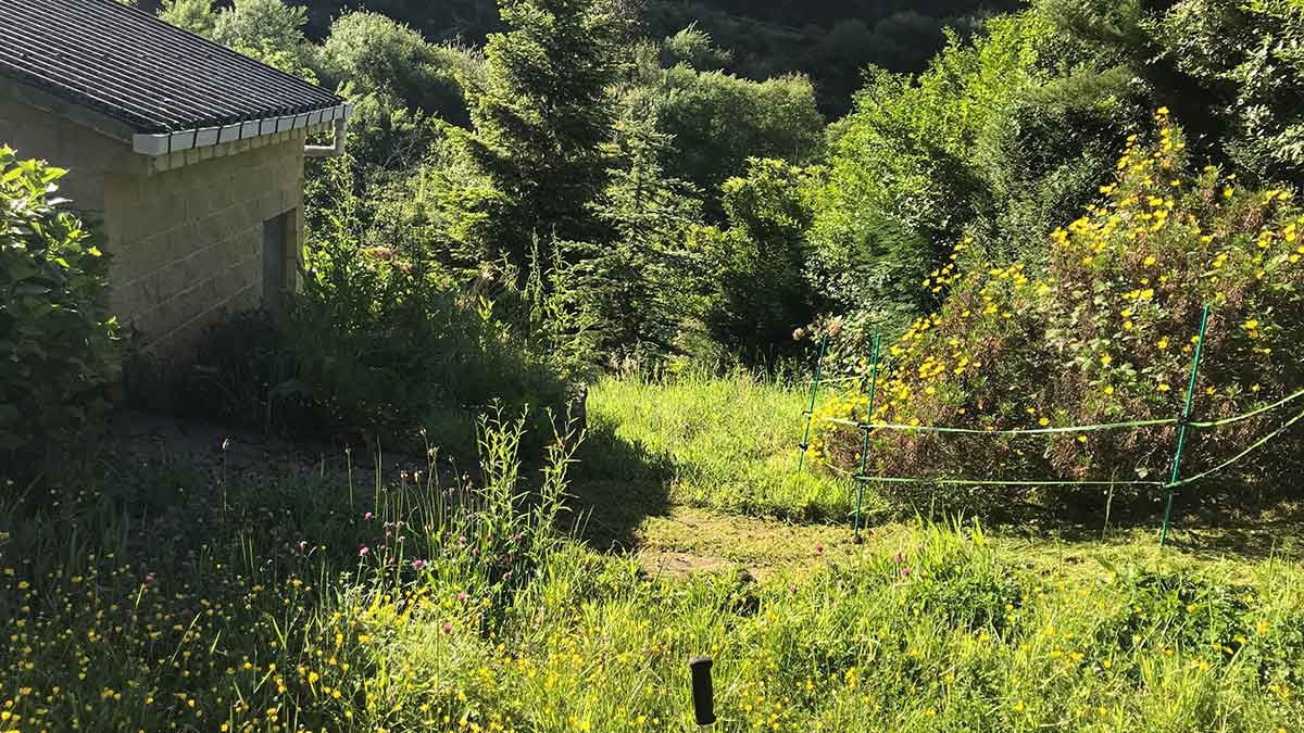 Restauración paisajística