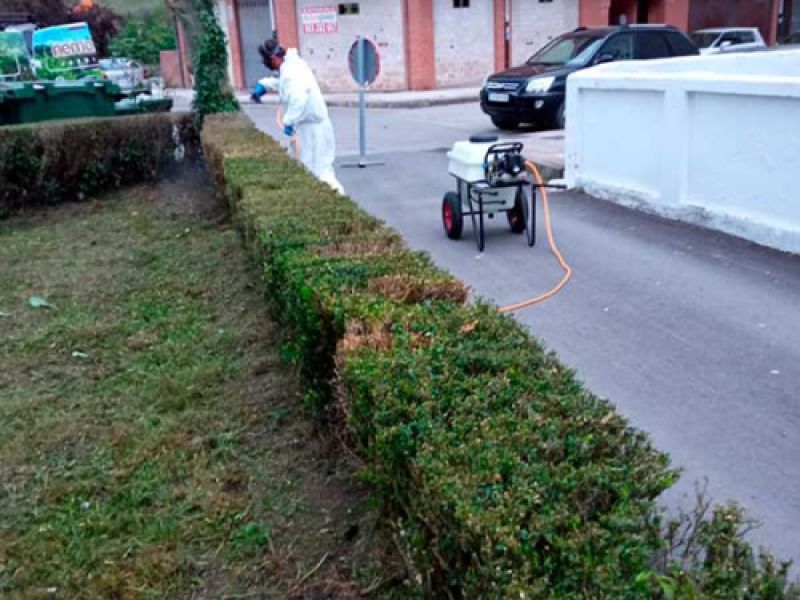 Operario con EPI tratando plaga en arbustos