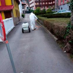 Operario con EPI fumigando arbustos de boj