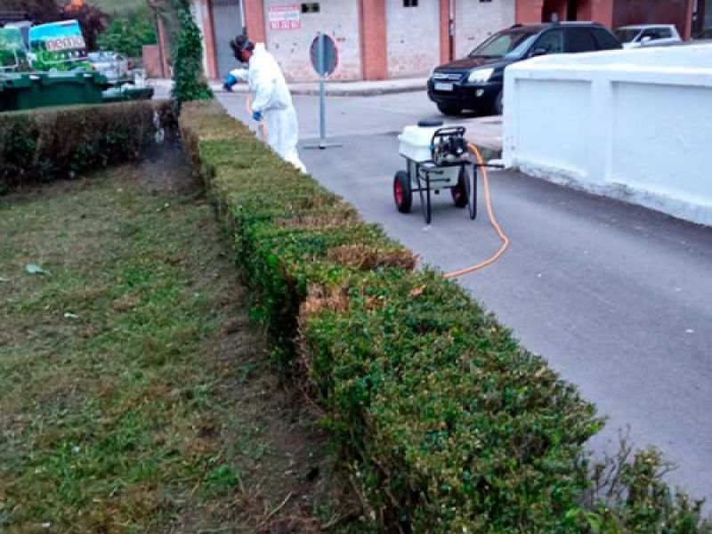 Operario con EPI tratando plaga en arbustos