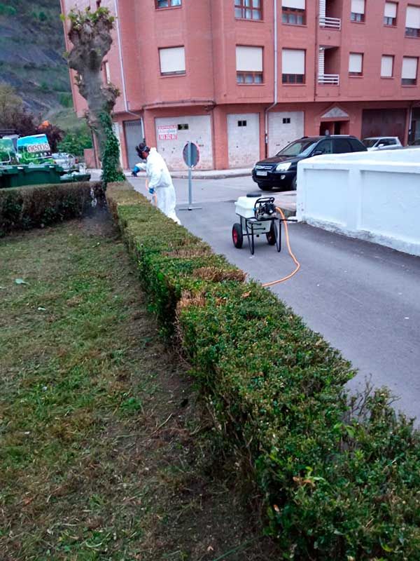 Operario con EPI tratando plaga en arbustos